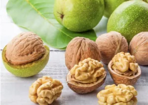 ảnh đại diện bài viết hạt óc chó